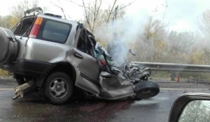 ДТП на Чуйском тракте