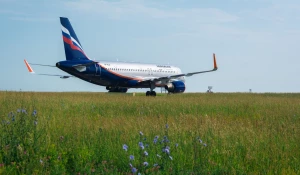 Интерактивная версия годового отчета Аэрофлота за 2016 год получила высшую награду.