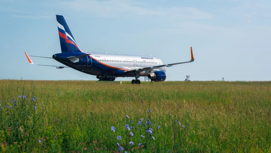 Интерактивная версия годового отчета Аэрофлота за 2016 год получила высшую награду.