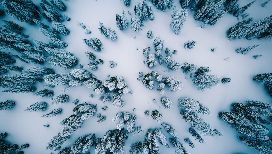 В новосибирском лесу нашли насмерть замерзшего мужчину