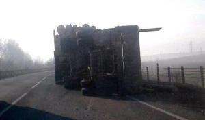 Под Бийском перевернулся прицеп лесовоза. 16 октября 2017 года.