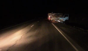 ДТП с участием грузовика и лошадей.