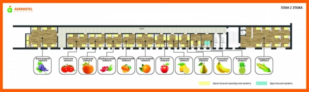 Планировка одного из этажей хостела "Агроотель".