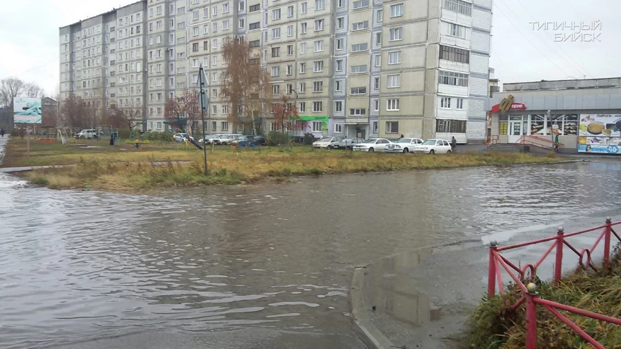 Лужа в Бийске. 23 октября 2017 года.