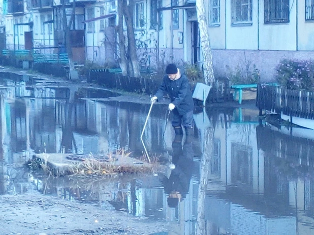 Лужа в Бийске. 23 октября 2017 года.