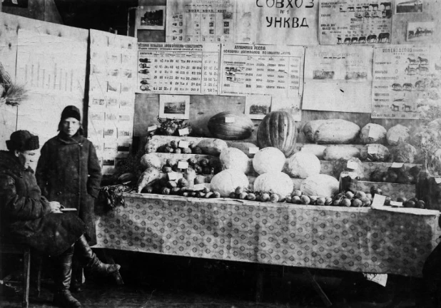 Выставка совхоза УНКВД, 1935г. (будущий пос.Докучаева - р-н ул.Попова, Малахова, Юрина, Э.Алексеевой, с 1958г. АНИИСХОЗ)