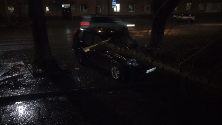 В Рубцовске из-за шторома тополь рухнул на машину. 24 октября 2017 года.