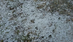 Снег в Белокурихе. 26 октября 2017 года.