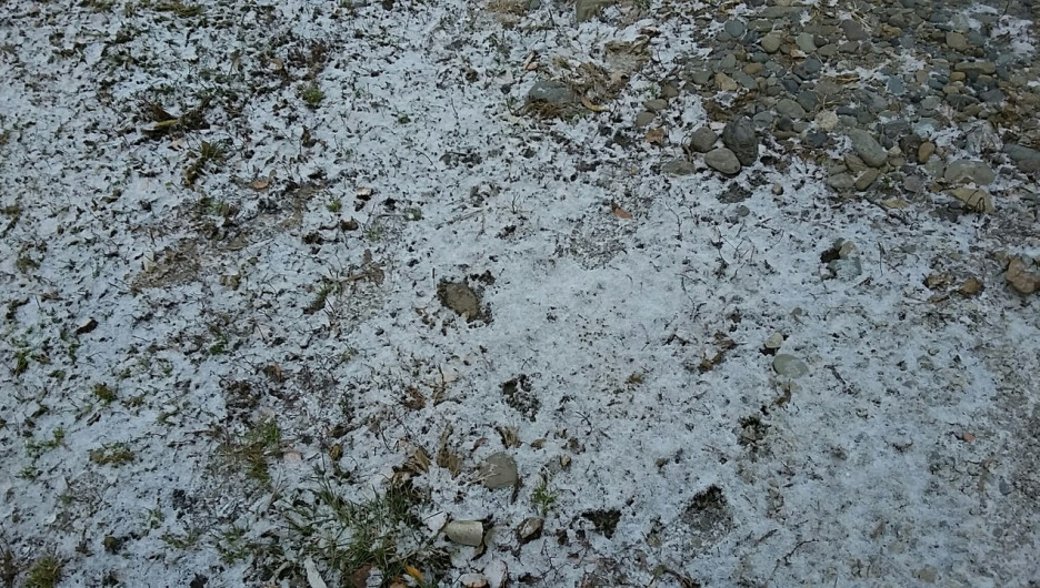 Снег в Белокурихе. 26 октября 2017 года.