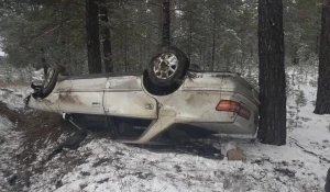 В лесу под Волчихой перевернулся автомобиль Toyota Mark II.