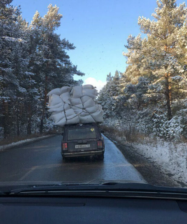 Где-то на алтайских дорогах.