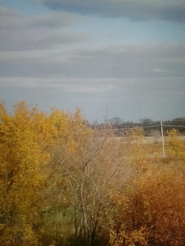 В. А. Алябьева Осень в красках художника.