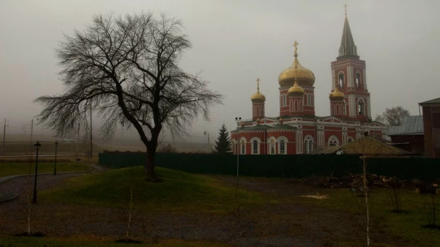 Туман в Барнауле 3 ноября.