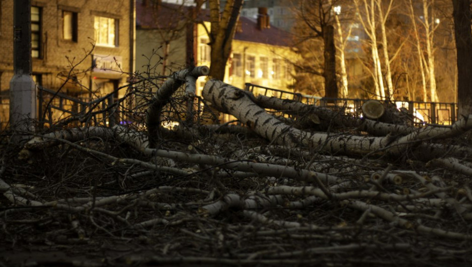Порубленные деревья на ул. Эмилии Алексеевой в Барнауле после урагана. 