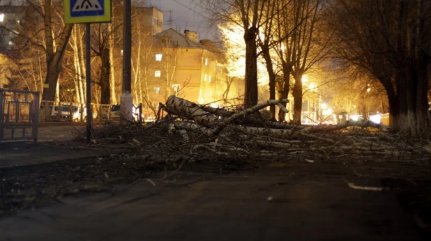 Порубленные деревья на ул. Эмилии Алексеевой в Барнауле после урагана. 