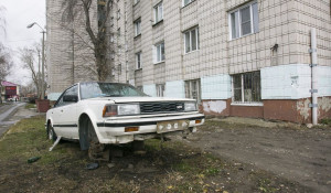 В Барнауле запрещено парковаться на газонах, хранить порубочные остатки и разукомплектованные авто.