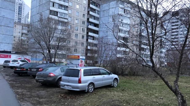 В Барнауле запрещено парковаться на газонах, хранить порубочные остатки и разукомплектованные авто.