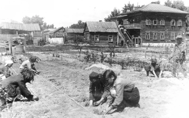 Юннаты во дворе Детской техн. станции на пер.Некрасова, 13 ( место под стр-во здания детдома №8)