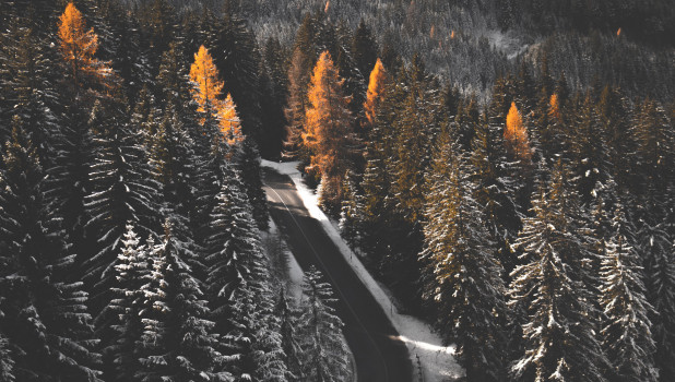 Зима в лесу.