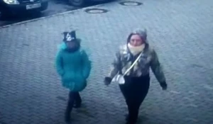 В МВД рассказали подробности краж, совершенных девочкой с хомяком.
