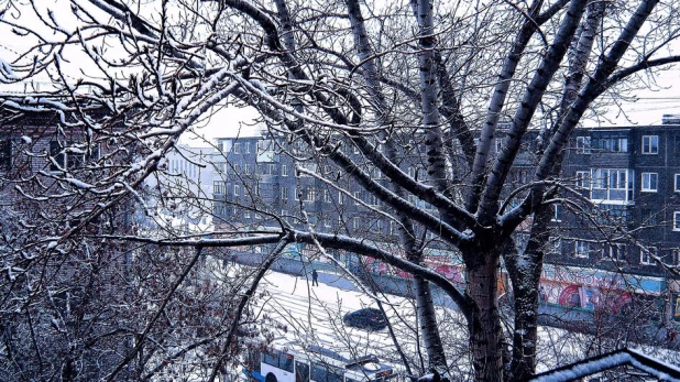 Первый снег в Рубцовске