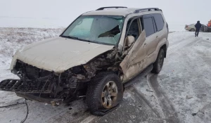 Две иномарки смяло после жуткого столкновения на трассе в Алтайском крае/