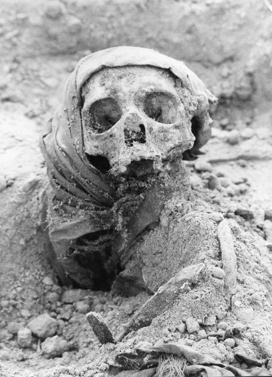 1999 год, в Барнауле на ВДНХ  раскопали останки.