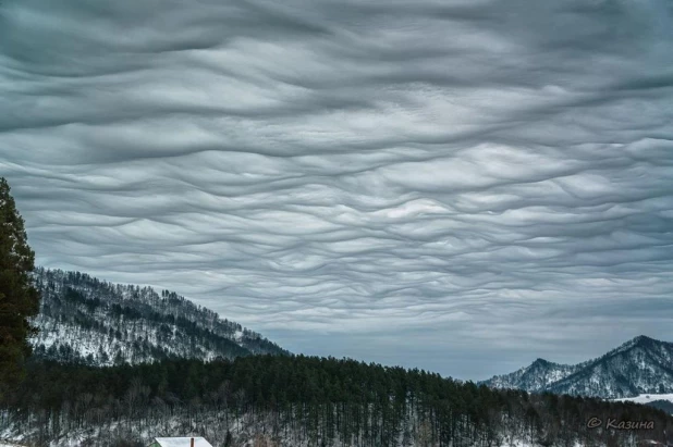 На Алтае сфотографировали редкие зловещие облака.