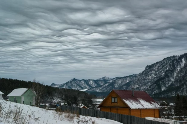 На Алтае сфотографировали редкие зловещие облака.