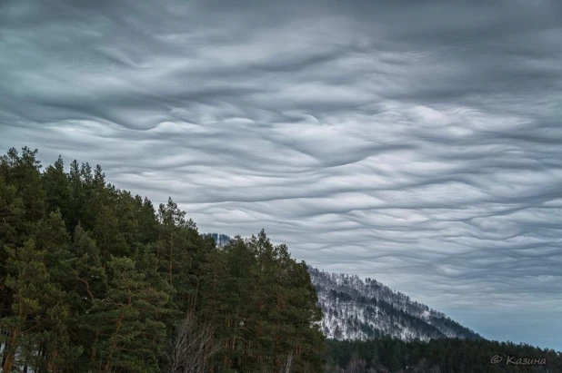 На Алтае сфотографировали редкие зловещие облака.