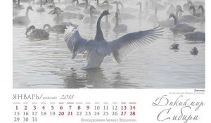 Красноярский фотограф выпустил календарь с редкими снимками из заповедных мест Сибири.
