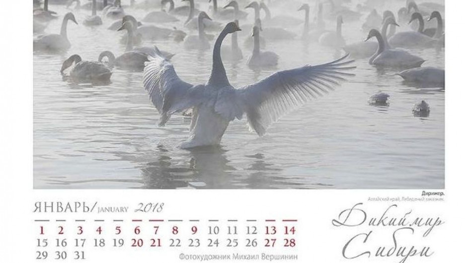 Красноярский фотограф выпустил календарь с редкими снимками из заповедных мест Сибири.