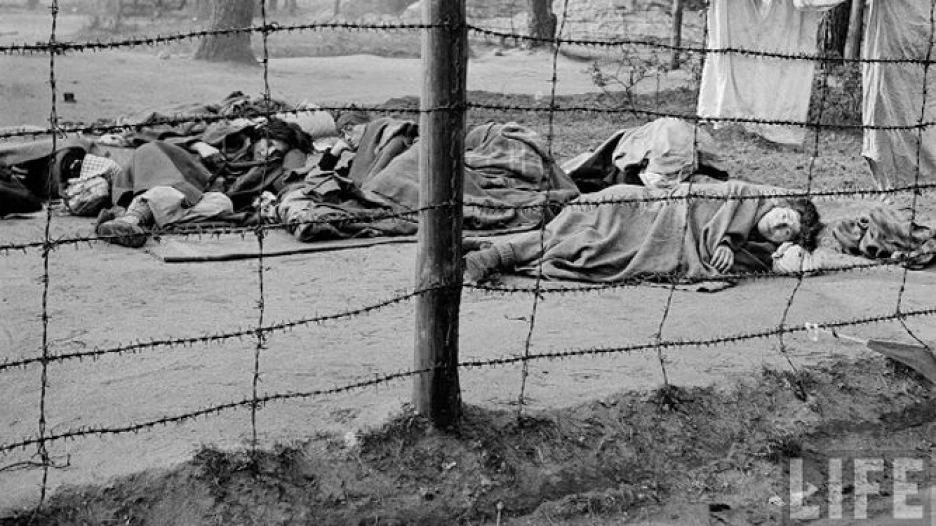 Мертвые и умирающие заключенные.