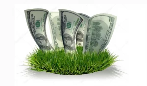 Растут ставки по вкладам в валюте.