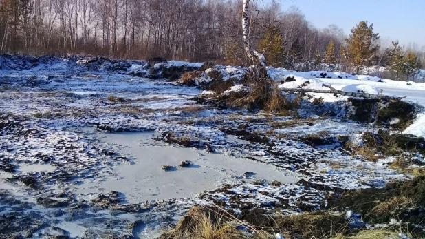 Ямы в районе завода по производству костной муки.