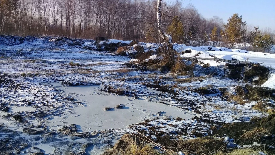 Ямы в районе завода по производству костной муки.