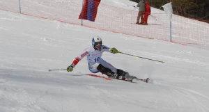 Горные лыжи.