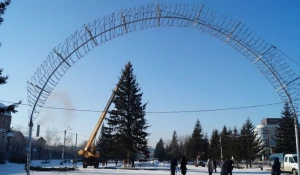 В Бийске установили первую в крае новогоднюю ель.