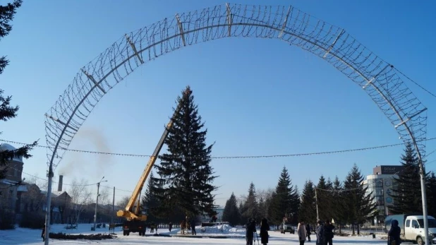 В Бийске установили первую в крае новогоднюю ель.