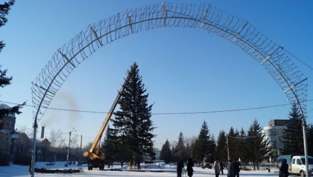 В Бийске установили первую в крае новогоднюю ель.