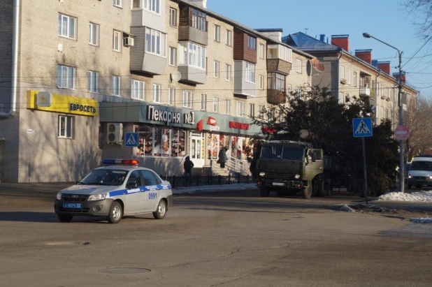 В Бийске установили первую в крае новогоднюю ель.