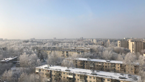 Зима в Барнауле. Иней.