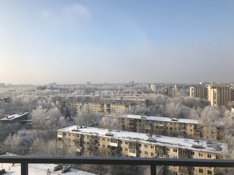 Зима в Барнауле. Иней.
