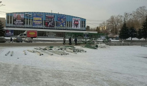 В центре Барнаула начали устанавливать главную новогоднюю ель.
