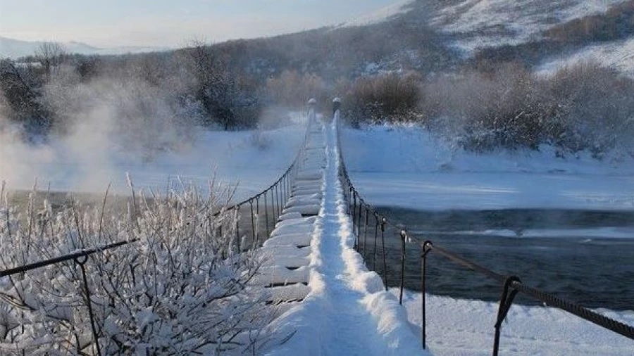 В Солонешном.