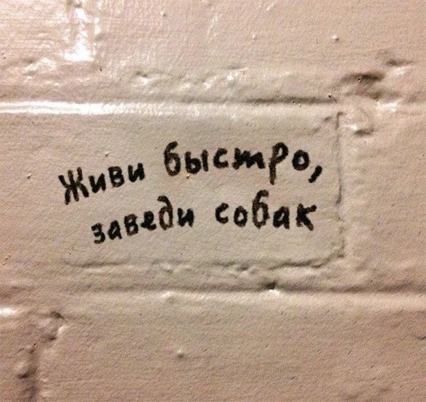 Смешные надписи на стенах, которые удивят и позабавят.