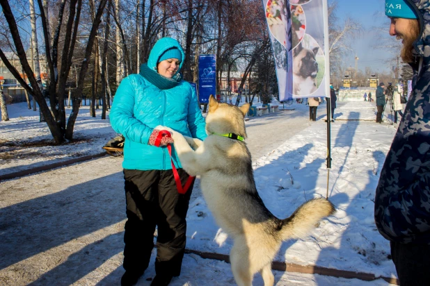 "Алтайская зимовка" в Барнауле.