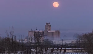 Заринский элеватор.