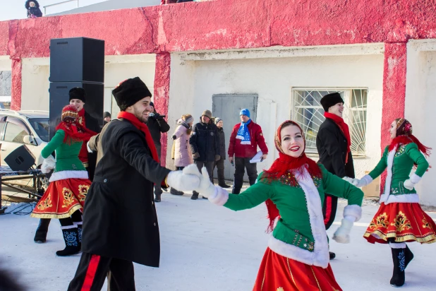 Фестиваль северных ездовых собак в Барнауле.