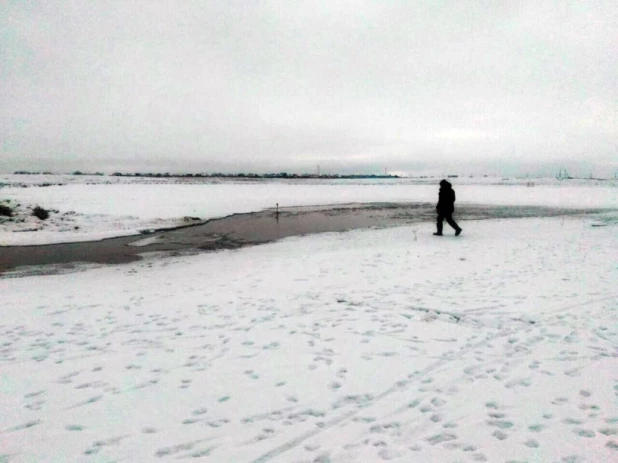 Алтайский пожарный спас измученного лебедя.